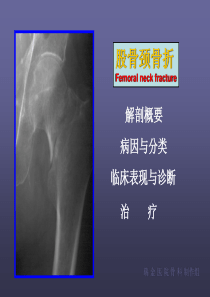 股骨颈骨折PPT