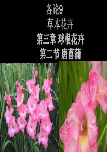 各论9草本花卉球根花卉唐菖蒲