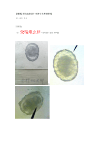 湘雅医学院寄生虫实验标本考试资料 寄生虫图谱 全切片+标本 总结