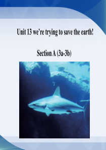 unit-13-we’re-trying-to-save-the-earth!-section-A-