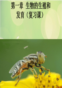 生物的生殖和发育(复习课)