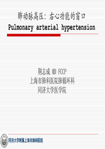 肺动脉高压：右心功能的窗口