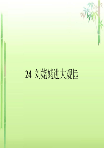 5724 刘姥姥进大观园