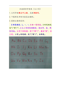 汉语拼音字母(字母写法规范)