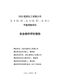 河北大鹏医药化工有限公司设立安全评价