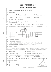 2018九年级数学中考模拟试题