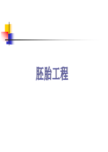 胚胎工程ppt