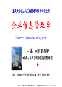 企业信息化建设项目的实施(ppt 70页)