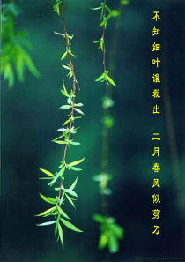 天净沙秋