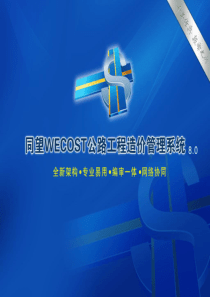 同望WECOST培训教材