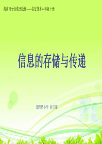 第1课 信息的存储与传递概要