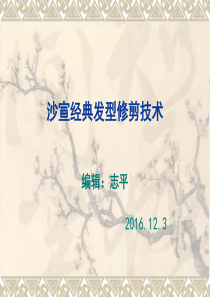 沙宣经典发型修剪技术16.12.3