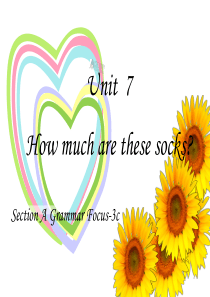 Unit7How much are these socks A grammar focus-3c