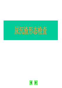 实用临床医学检验形态学之尿沉渣形态学检查图谱