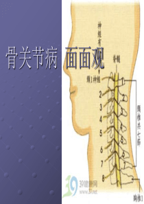 浅论骨关节病面面观