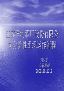 江苏洋河酒厂股份有限公司分拆性组织运作流程