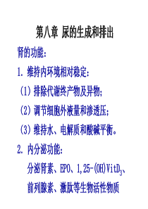 生理学课件PPT第8章泌尿系统