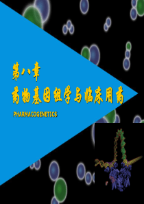 8-药物基因组学与临床用药