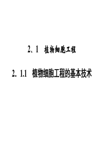 2.1.1 植物细胞工程的基本技术 课件(人教版选修3)