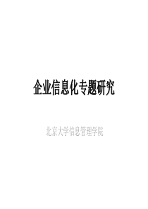 企业信息化概述