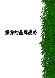 媒介的品牌战略资料