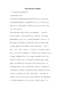 甘肃东兴铝业有限公司发展战略