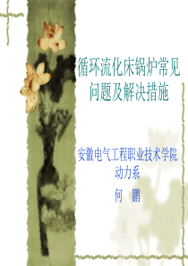 循环流化床锅炉常见问题及解决措施