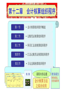 12 会计核算组织程序