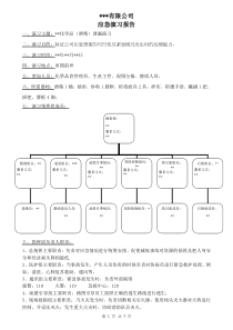 化学品泄漏演习报告