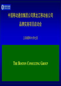 波士顿-中国移动通信集团公司黑龙江移动省公司品牌实施