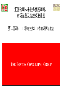 波士顿BCG汇源公司评估及建议PART2