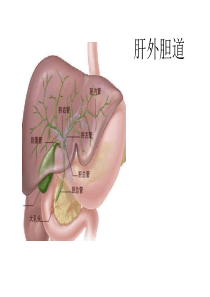 七年级下册地理教学工作计划