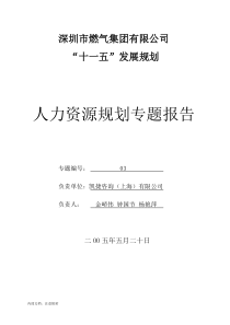 人力资源规划专题报告递交汇报版