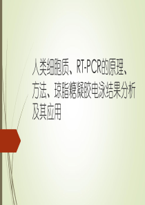 人类细胞质、RT-PCR的原理、方法、琼脂糖凝胶电泳结果分析及其应用