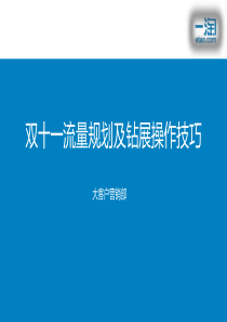 2012双十一流量规划