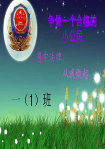 三年三争做合法小公民_主题班会(课件)