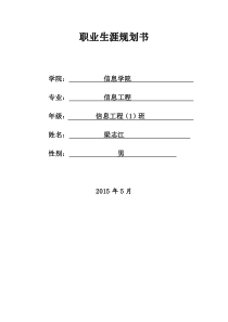 大学生职业生涯规划书模板(表格版)