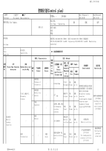 冲压品控制计划(量产)