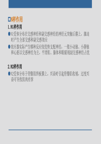 外周神经系统药理学