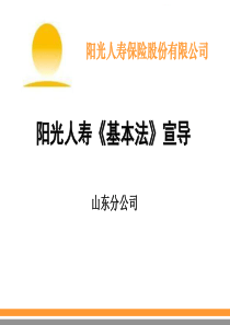 平安人寿保险公司个险队伍全套主管培训资料分解