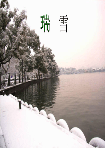 69《瑞雪》ppt课件1