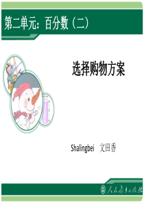 最新人教版小学六年级数学下册《选择购物方案》ppt课件