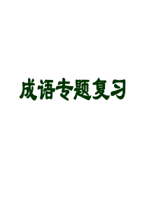 中考语文总复习：《成语运用》ppt课件