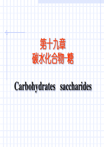 有机化学 第19章 碳水化合物