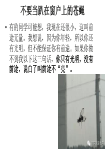 鼓励学习：不努力,你要青春干什么