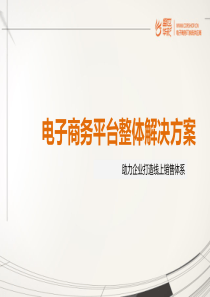 电子商务平台整体解决方案