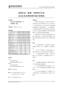 淮南矿业（集团）有限责任公司企业主体长期信用评级分析报告