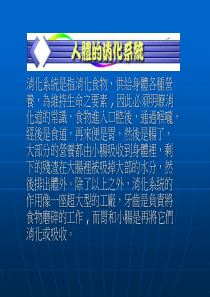 消化系统包括食道→胃→小肠→大肠→肛门