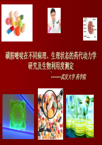 生理状态的药代动力学研究-PowerPointPres