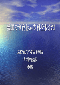 美国专利商标局因特网专利数据库检索途径及方法分析